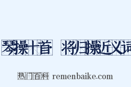 琴操十首·将归操近义词是什么意思的图片